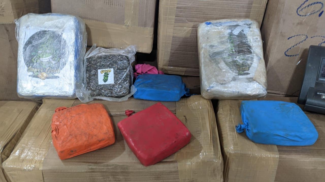 Foto 8 de 13 — DISE apreende mais de 2 toneladas de maconha em Araraquara e dois são presos
